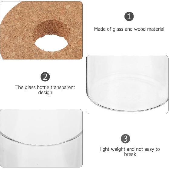 Hydroponic Plant Bottle, 8.21x3.34in Plant Vase Micro Landscape Bottle, Hydroponic Vase Plant Empty Glass Bottle, Water Flower Pot Container with