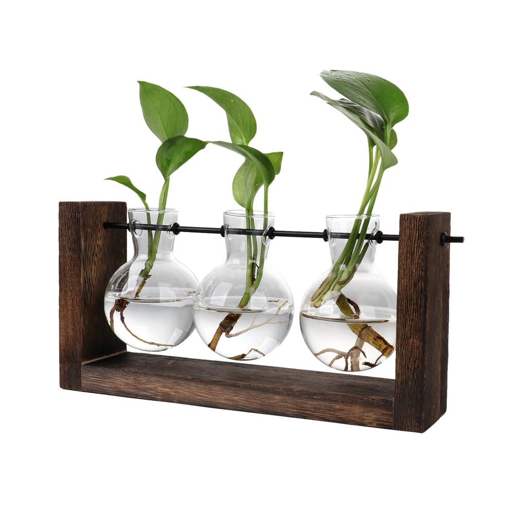 Hydroponic Vase Simple Decorative Glass Flower Vase Plant Terrarium with Wooden Stand