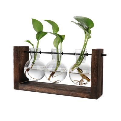 Vaso hidropônico simples vaso decorativo de vidro para flores terrário de plantas com suporte de madeira