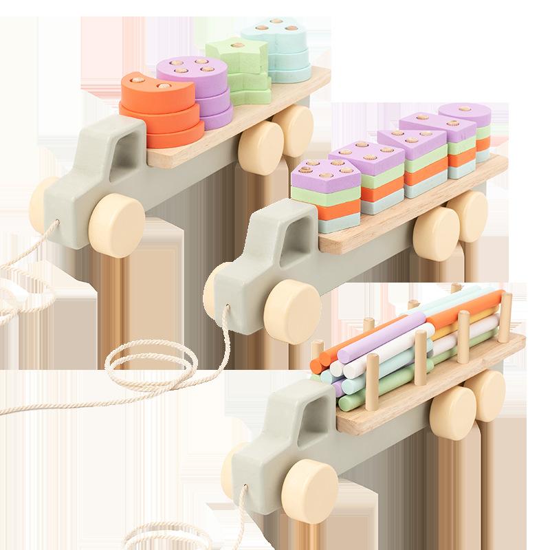 Wooden Montessori Toy Geometry Set Of Columns Baby Educational Toys Trailer Children Learning Toys For Cognitive Shape Pairing