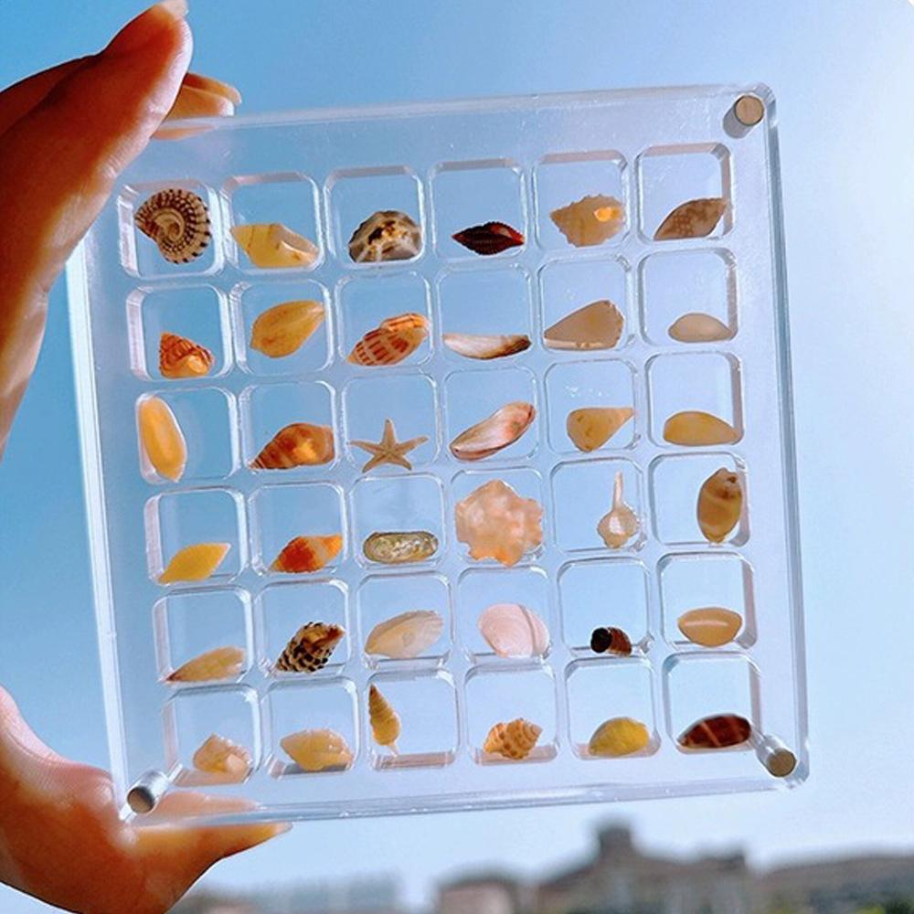 Magnetic Seashell Storage Box Transparent Acrylic Display Case for Starfish Conch Trinket Small Craft Organizers