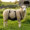 Adjustable Strap Livestock Anti Breeding Apron Wear Resistant Breathable Anti Mating Apron Animal Skirt Livestock Clothing