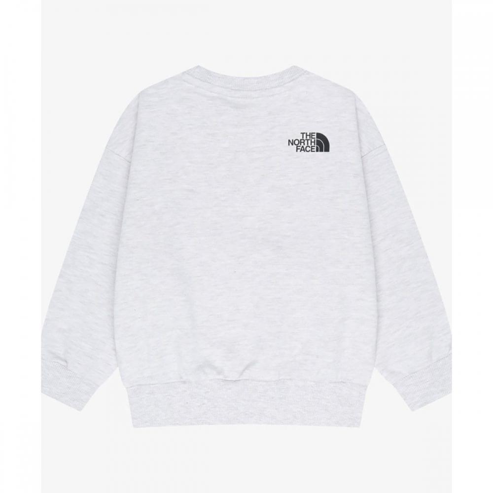 The North Face Kids Go To Sweatshirt heaTher Gray Nm5ms02s