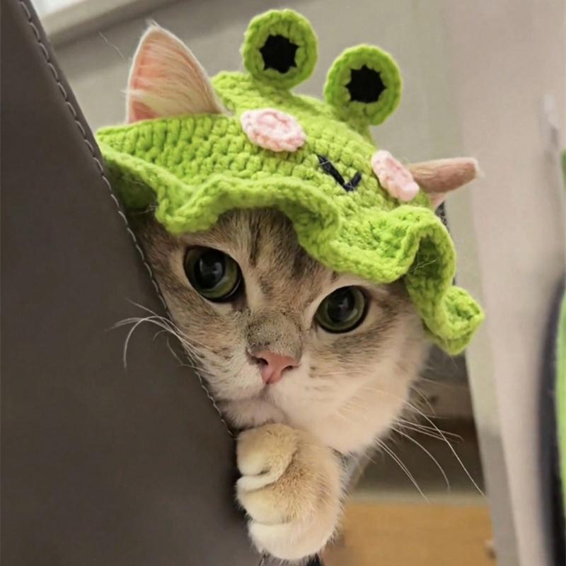 1 Stück Frosch Gestrickte Haustiermütze Entzückende Cartoon Katzenmütze für Kleine Hunde Katzen Handgestrickte Kopfbedeckung Gemütliches Stilvolles Haustierzubehör Weich Warm Winter Foto