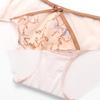 Anlifang Women's Embroidered Mesh Mid-Low Waist Briefs
