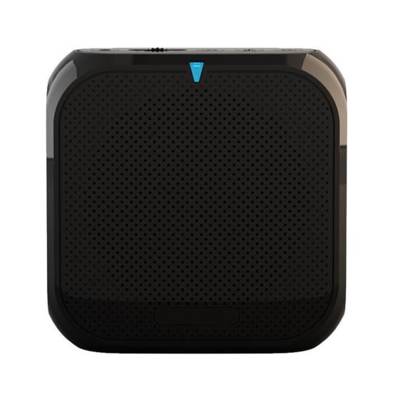 Portable Wireless Voice Amplifier Teachers Meeting Tour Guide Rechargeable PA System Speaker Personal Amplifier
