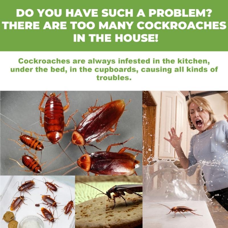 Roach Killers Indoor Infestation Cockroach Repellents Home Roach Traps Cockroach Baits Roach Children & Pet Friendly