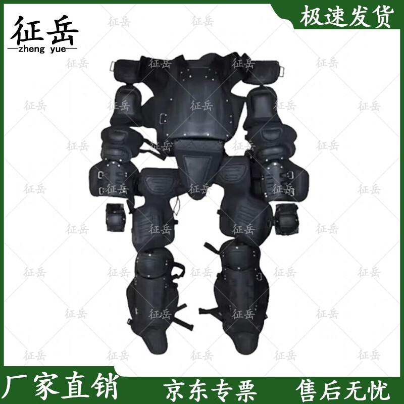 Zhengyue Anti-Riot Suit