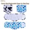 Washable Male Dog Diaper Pants & Anti-Harassment Belt