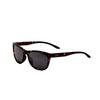 Women S 55mm Brown SunglaSSeS Havana