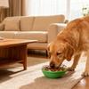 Pet Intelligence Training Kibble Dispenser Toy Ball Design Leaking Food Feeding Slow Feeder for Dog