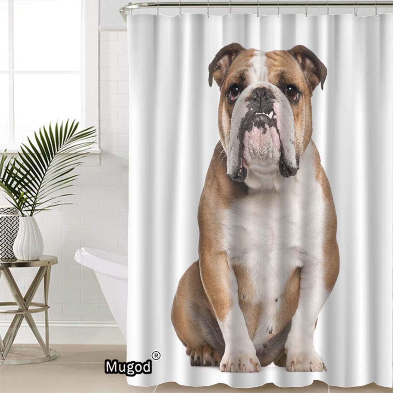 Jessica Chen White Shower Curtains English Bulldog Old Sitting Against Background Decorative Bathroom Waterproof Fabric Shower Curtain With