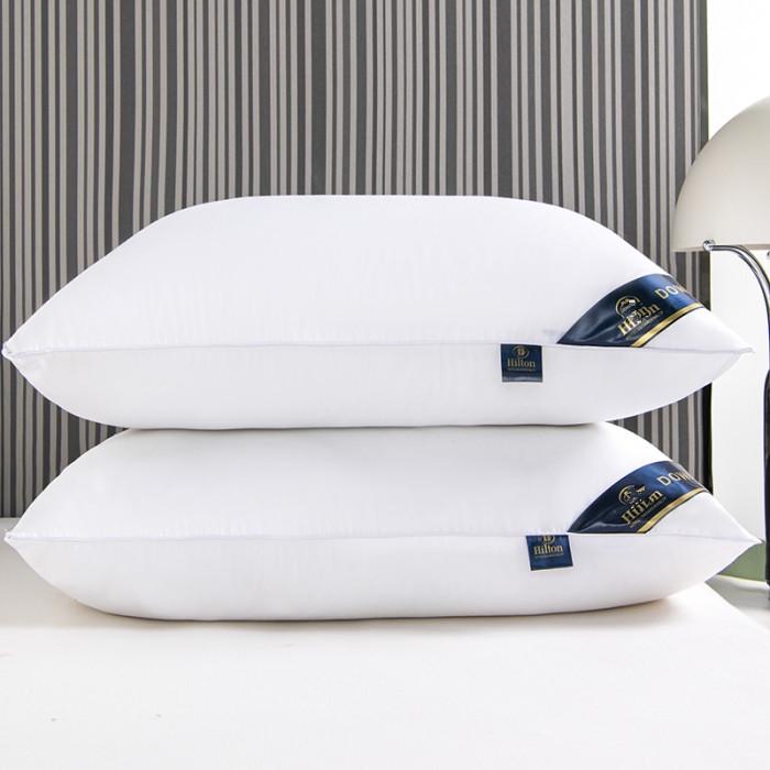 Durable 48x74cm Hotel Pillow Set - High Loft, Plush, Home Gift, Pair of 2