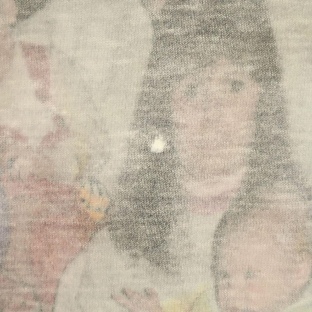 FRUIT OF THE LOOM 90s Made In USA Old Short Sleeve T-shirt Single Stitch Men's Used