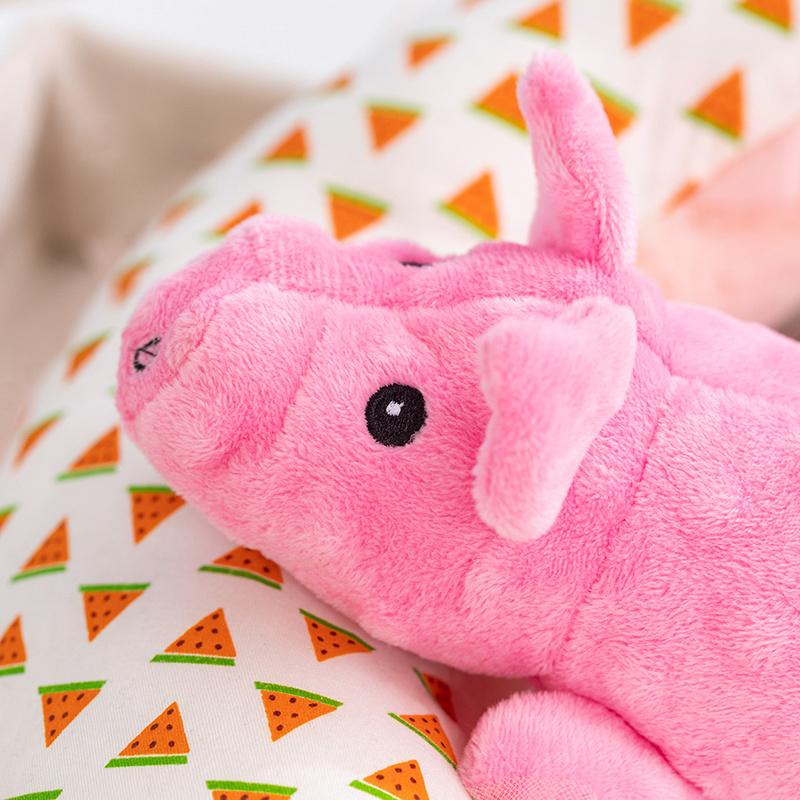 Kawaii Doll Animal Pig Quetzalcoatlus Dinosaur Pet Toys That Can Bark Northropi Toy Pillow Super Soft Gift