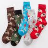 1 Pair Kawaii Dog Women Socks Happy Funny Socks Fruit Harajuku Candy Colors Mid Socks Casual Crew Socks Women Size 35-42