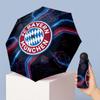 Accessoires – Parapluies