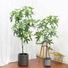 Artificial Pachira Plant In A Pot, Realistic, 60Cm, Beautiful Bush