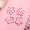 PVC Cartoon Flower & Animal Hair Clip and Clothing Accessories for Kids