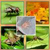 Durable Polyester Mesh Rain Barrel Cover Anti Mosquito Leaf Protection Net for Outdoor Water Collection Tank White