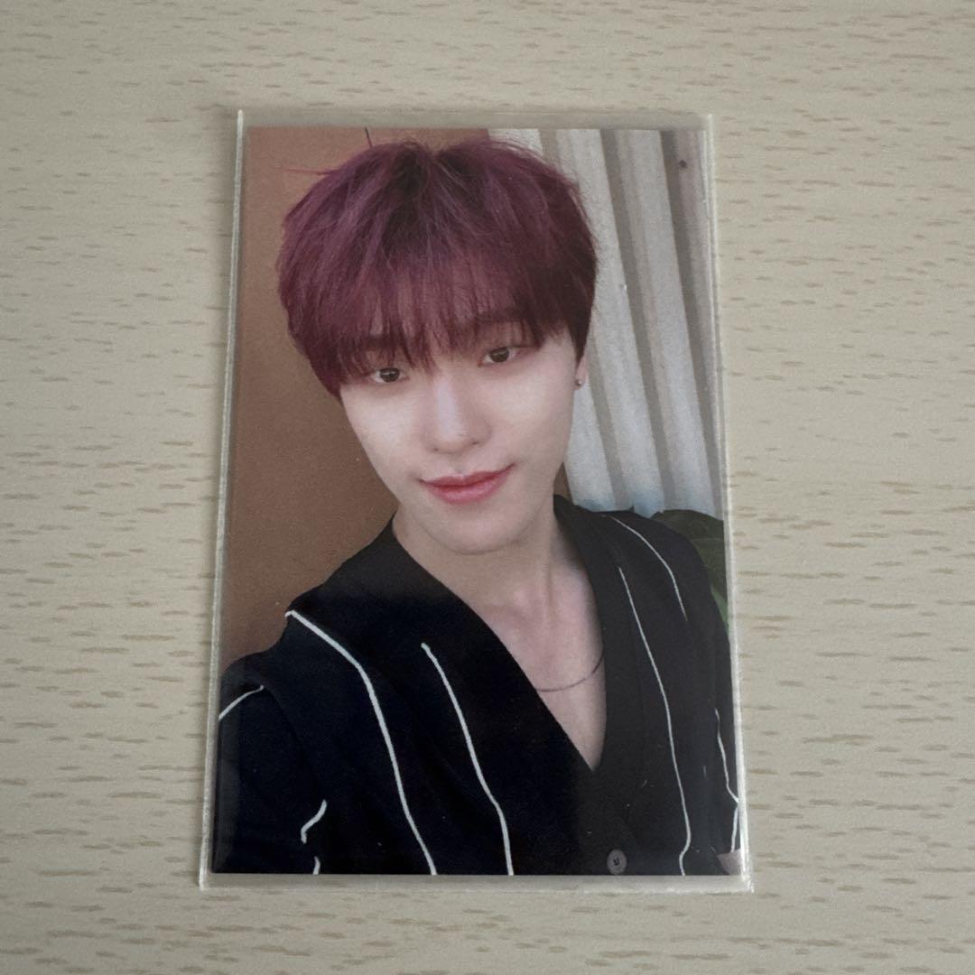 

[USED] Seventeen Dino your choice Sanok public broadcast