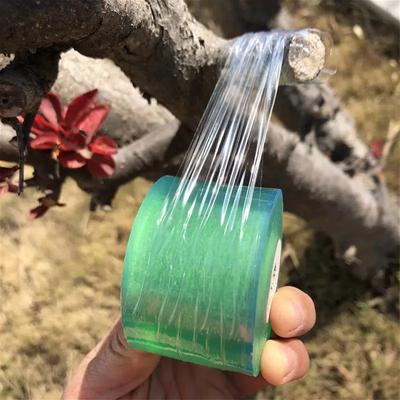 Plant Grafting Special Environmentally Friendly Biodegradable Grafting Tape Grafting Film Horticultural Binding Tape Film