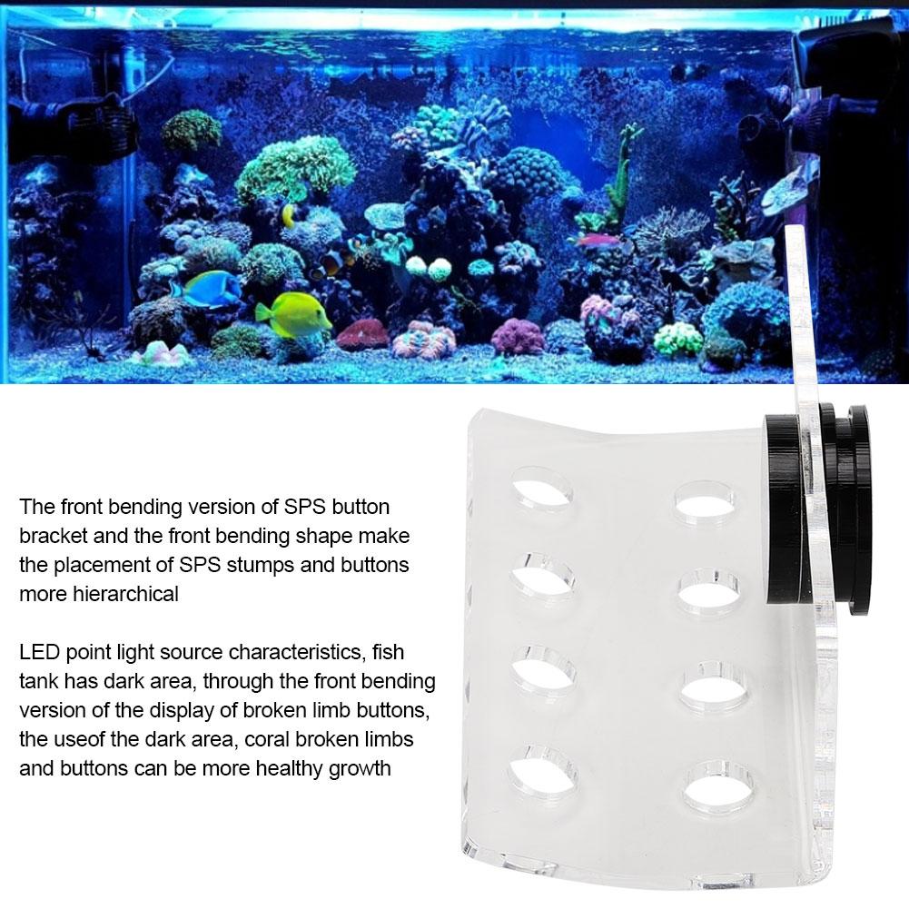 Aquarium Marine Coral Racks Bracket Holder Fish Button Frame Enhanced Suction Cup
