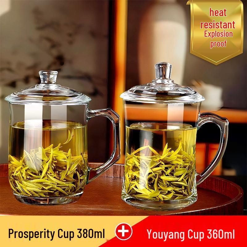 HANDUNYOU Heat-Resistant Glass Mug with Handle and Lid
