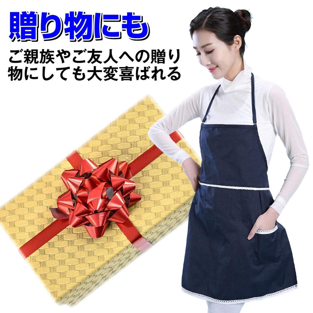 Electromagnetic Wave Prevention Electromagnetic Wave Pregnant Maternity Supplies of [Island Chief] Apron, Protection, Women, (Set 2)