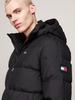 Зимняя куртка Tommy Hilfiger Water Repellent Down Jacket (DM0DM19786) черный