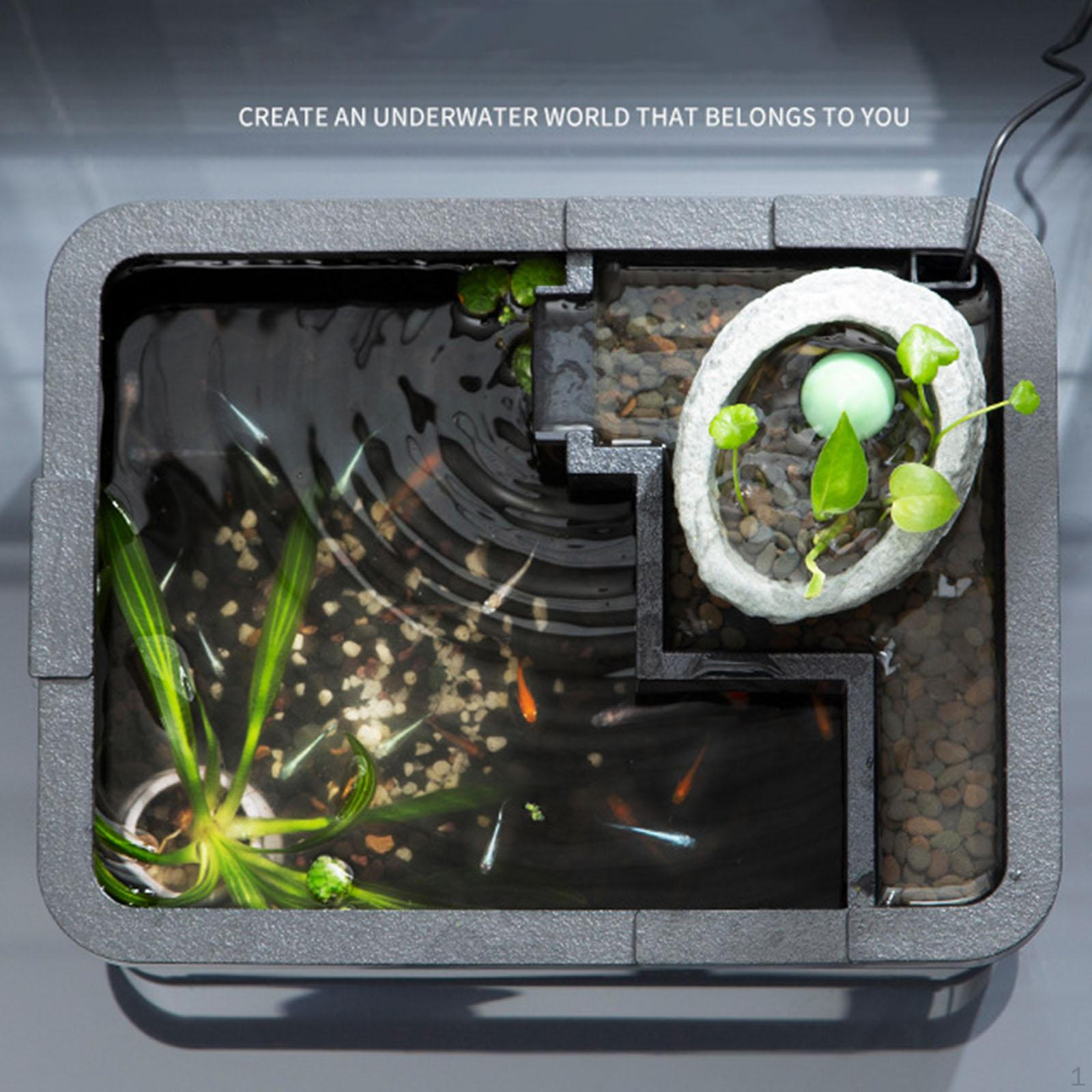 

Водный декор для дома и офиса