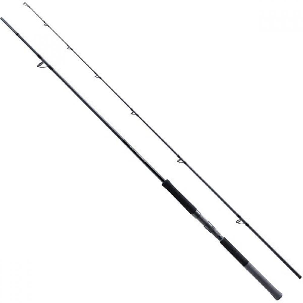 Shimano 25 Salty Advanced Shore Jigging S96mh Shore Salt Rod 274656