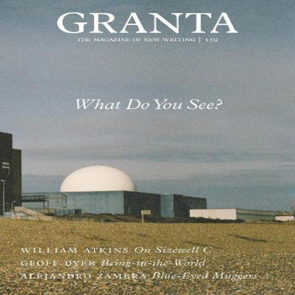 Granta 159 What Do You See by Sigrid Rausing Paperback Book 9781909889477