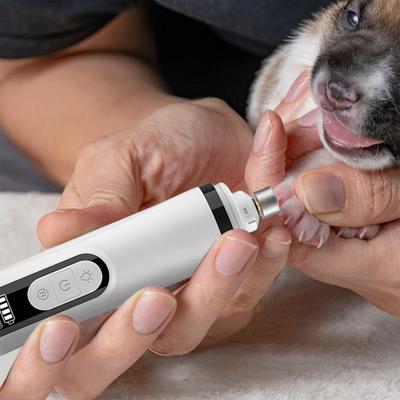 Köpek – Köpek bakım ürünleri