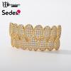 Hot Selling Halloween Hip Hop Grillz: Real Gold Plated Copper, Punk Zircon Paved, Big Gold Tooth Jewelry.