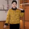 Women's Elegant Winter Down Jacket - Chinese National Style