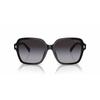 Ladies' Sunglasses Ralph Lauren RA 5304U
