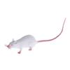 1Pc Plastic Rats Mouse Model Figures Kids Halloween Tricks Pranks Props Toy