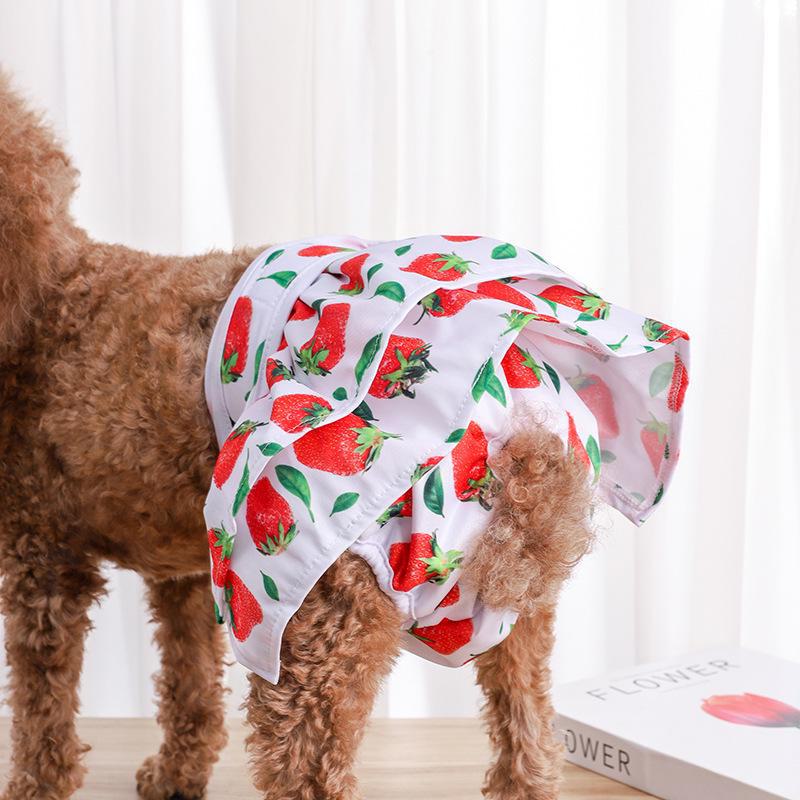 Washable Summer Floral Dog Diapers - Small Bichon Menstrual Safety Pants