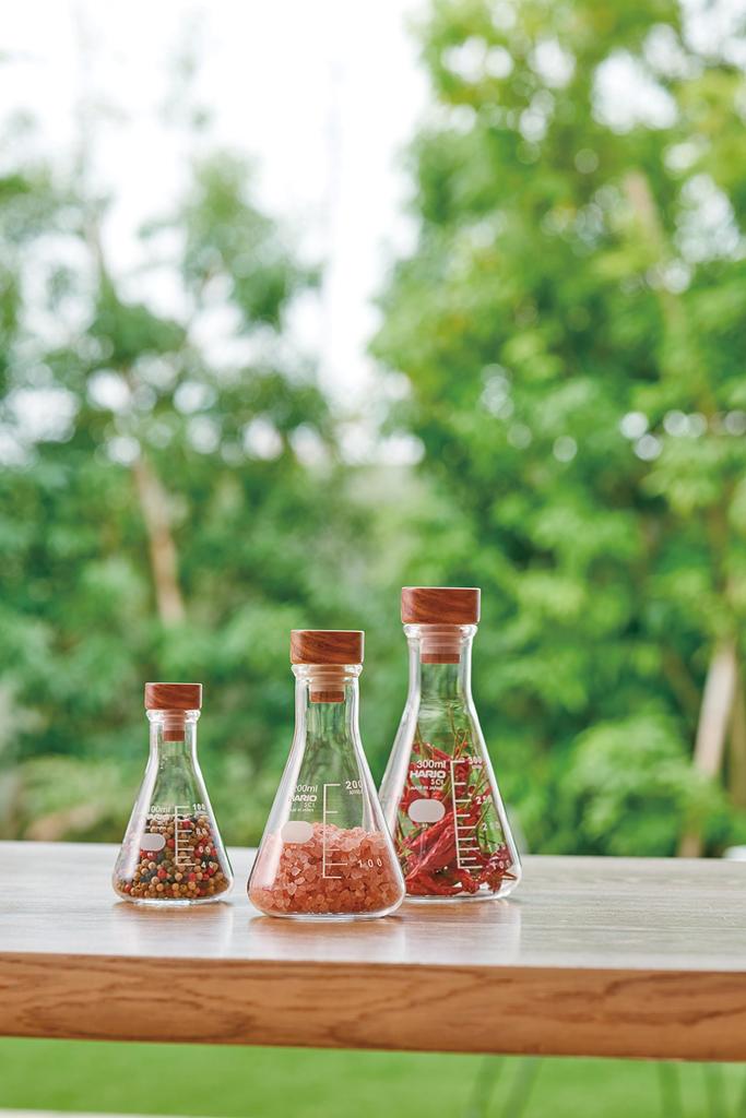 HARIO Erlenmeyer Flask Storage L Clear SFS-L