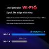 TP-LINK TL-XDN6000 USB WiFi6 Wireless Adapter (CN version)
