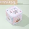 Empty Box Easter Gifts Box Square Shape Easter Egg Box Rabbit Tin Storage Box  Easter Party