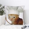 Funny Kitten Chef Meme Pillow Case Kawaii Pillow Cover Print Pillowcases For Sofa Home Decor