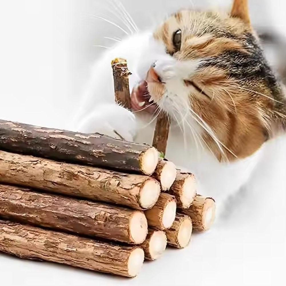 5Pcs Catnip Sticks Pet Cat Molar Toys Natural Wood Polygonum Kitten Teeth Cleaning Chew Toy Cat Snacks Sticks Pet Supplies