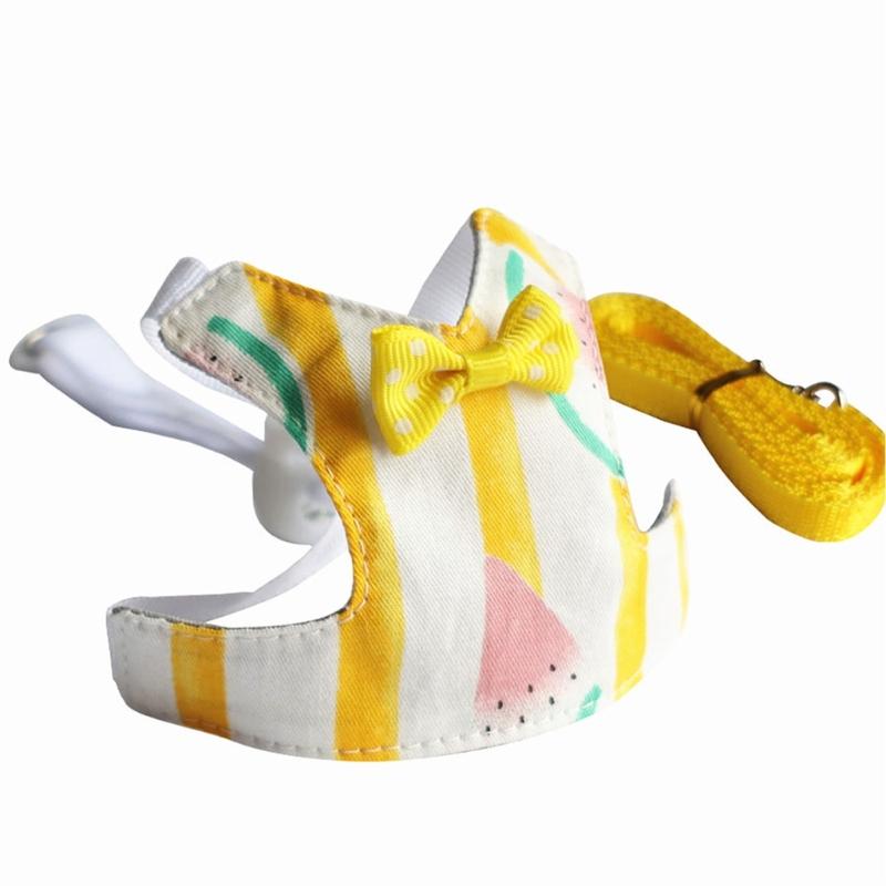 Comfortable Small Animal Harness Rope with Lovely Pattern Walking Vest Leash for Small Pet Outdoor Activity Essential