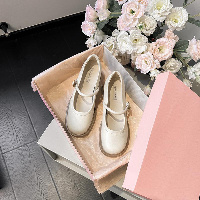 Platform Mary Jane Women's Shoes High Heels Retro Small Leather Shoes Single Shoes Women