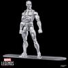 Hasbro Marvel Legends Series Silver Surfer Surfer Collectible 15cm Action Figure Toy G0815 Authentic "Silver #1"