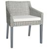 Day and Night - Day and Night Dining Chair with Gray Natural Rattan Cushion