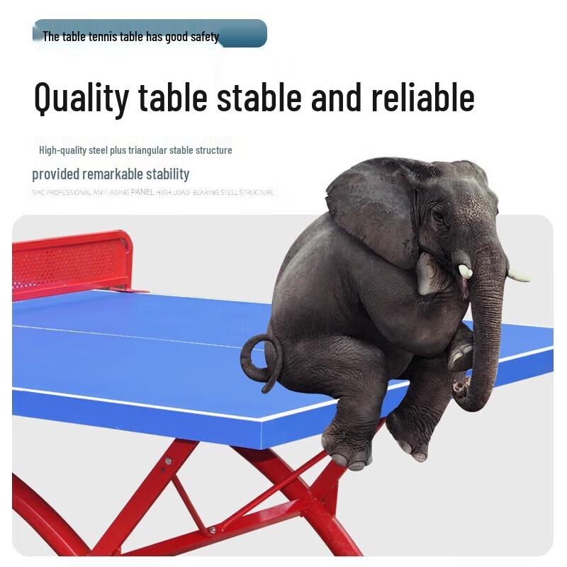 Kanglangte Outdoor Table Tennis Table