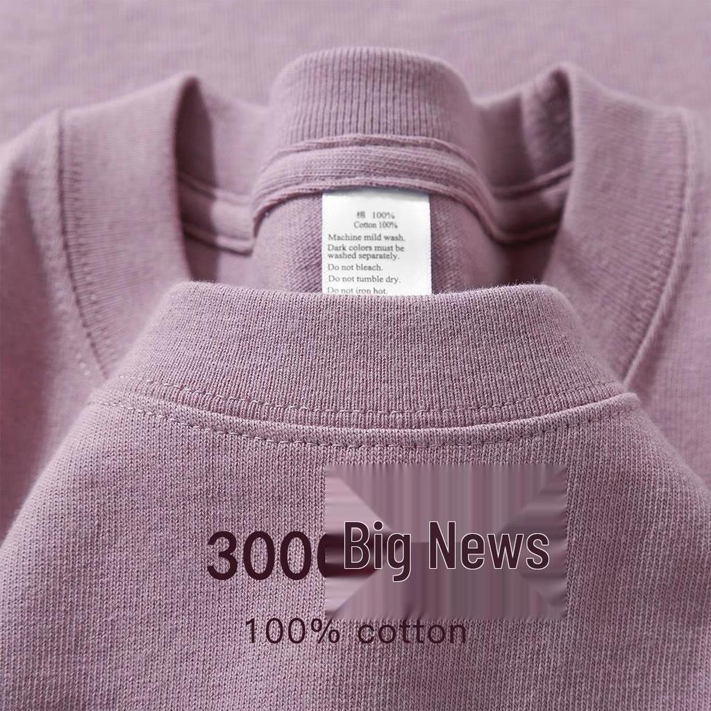 Unisex Heavyweight 300g Cotton Crew Neck Solid Color T-Shirt